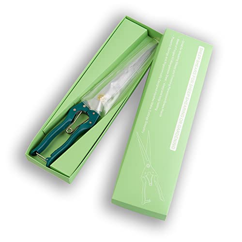Hand Shears for Gardening or Sheep Shearing - Manganese Stainless Steel Topiary/hedge scissors for Pruning GD-010-S - color: Blue