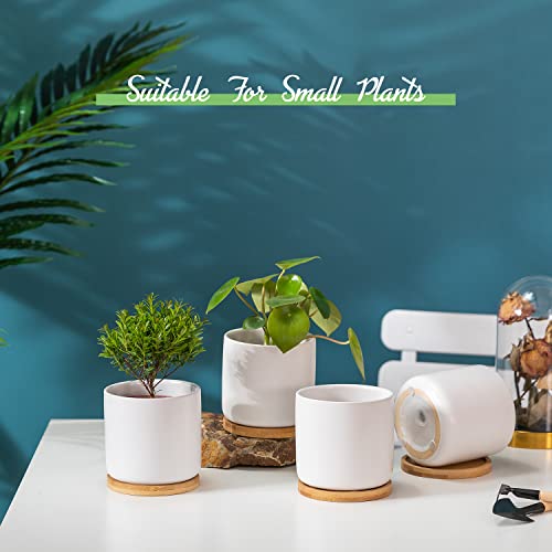 4 Inch White Ceramic Plant Pots with Drainage Holes, Adorable Flower Planter Pot with Tray for Indoor Succulent Plants, Snake Plants, Cactus & Herbs, Set of 4 (Plant Not Included) - color: White