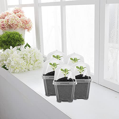 10 Pcs 4" Clear Plant Nursery Pot with Humidity Dome, Plastic Gardening Pot - color: 10pcs-white, size: 4 Inch