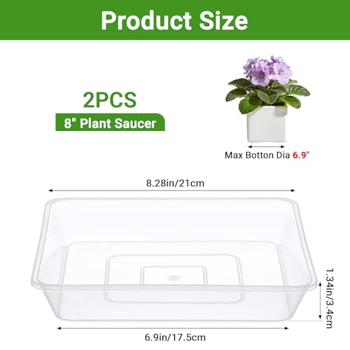 GREANER 8 Inch Plastic Plant Saucer-Fits 5-6 Inch Pot Bottom, 2 PCS Clear Pebble Tray for Plant Humidity, Flower Plant Drip Trays for Indoor & Outdoor Plants - color: Clear, size: 8 Inch