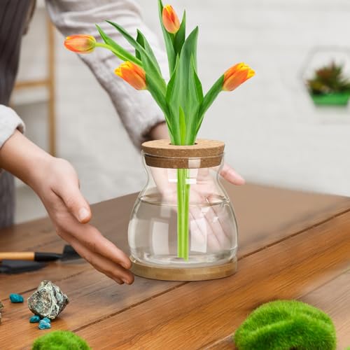 6 Pcs Glass Plant Propagation Station with Wood Lid & Stand, Novel Style - style: Novel Style