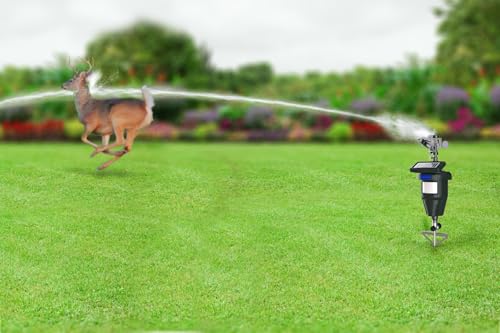Motion Activated Sprinklers for Yard - Effective Deer & Cat Repellent, Skunk Deterrent, Raccoon & Dog Repellent, Lawn Sprinkler System, Water Sprinkler for Lawn Protection - size: 1 Count (Pack of 1)
