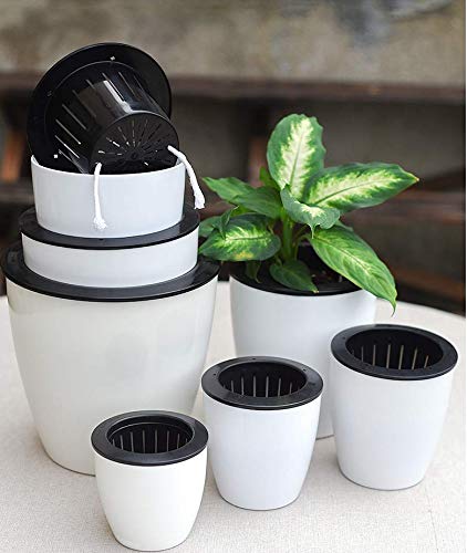 5 pack Lazy flower pots Water hanging plants Pot/Self Watering Planter,Succulent plants and small flower pots Plants Pots Indoor out Wall Hang Flowerpot Window Boxes With 5 hooks Silver (white)