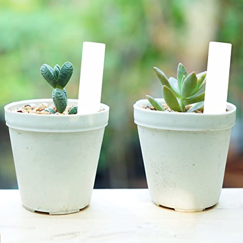 Mr. Pen- Plastic Plant Labels, 100 Pcs, 4“, White - color: White Plant Labels