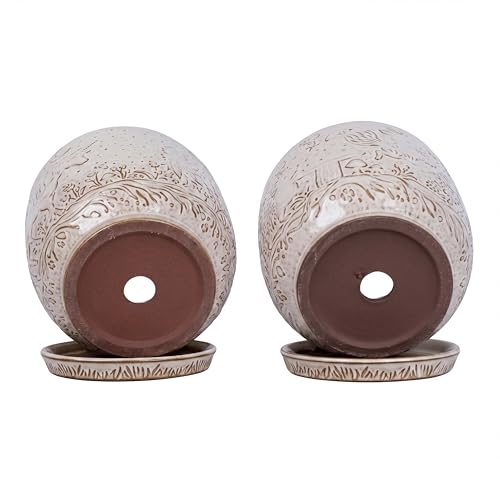 Claybourne Embossed Terracotta Plant Pots with Drainage Hole & Saucer, 4/6/8 Inch, Indoor/Outdoor Planter with Pebbles (White(Forest Elf), 6 inch) - color: White(forest Elf), size: 6 inch