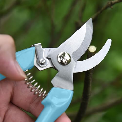 Garden Scissors for Plant, Tip Pruning Shears for Cutting Flowers, Trimming Plants, Bonsai and Fruits Picking (Blue Bypass Blade Pruner) - style: 1 Pc-Blue
