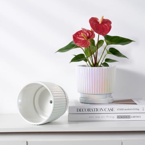 Pearl Plant Pots, Ceramic Flower Pots with Drainage Holes & Saucer Set of 2 - color: 02-brightly White