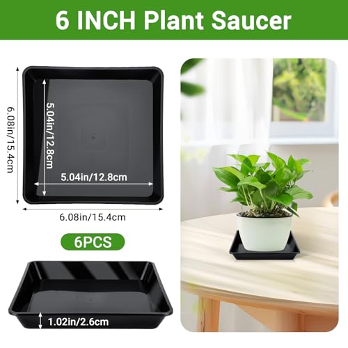 Greaner Plant Trays for Pots Square, 6 Inch Plant Drip Trays, Black Plant Plates to Catch Water Indoor Plants, Plant Tray for Indoor Outdoor Flower Pots and Planters, Bulk(6 PCS) - color: Black, size: 6"