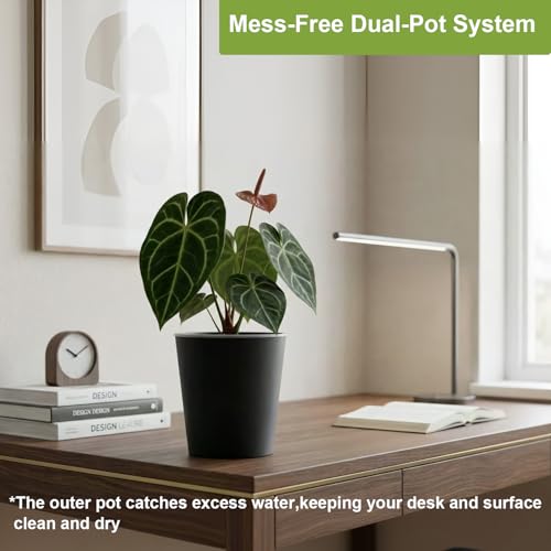 6 Inch Self Watering Pot with Clear Inner Pot, Black, 3 Pack - color: Black, size: 6in(3pack)