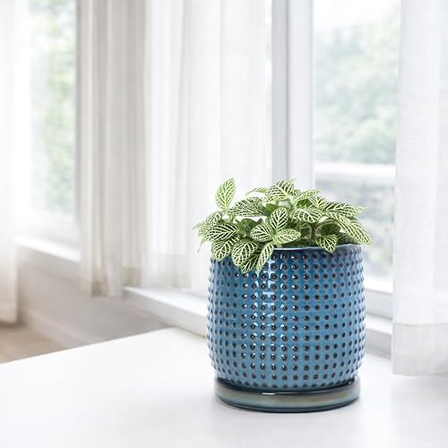 D'vine Dev Beaded Ceramic Pot with Saucer, 4 in, Ocean Teal, 27-C-Z-8 - color: Ocean Teal, size: 4.3 Inch