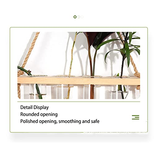 Plant Propagation Station, Wall Mounted 2 Tier 8 Holes Glass Test Tube Planter, Propagation Tubes with Hooks for Pothos African Violet MossHerbs (Light Brown) - color: Light Brown