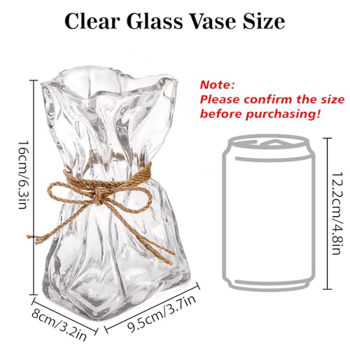 6 Inch Small Glass Vase, Irregular Clear Flower Vases for Centerpieces - color: Clear, size: Small