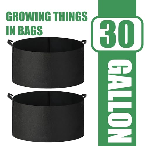 2-Pack 30 Gallon Fabric Grow Bags with Handle, Heavy Duty 300G Thickened Nonwoven with Handles and Reusable, Suitable for Garden Vegetables,Fruits and Flowers(Black) - size: 30 gallon (23.5''D×15.5''H)