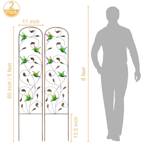 2 Pack Metal Garden Trellis for Climbing Plants - style: Hummingbird