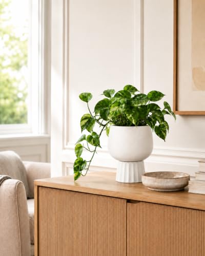 Self Watering Pots for Indoor Plants, 6 Inch Ceramic African Violet Pot - color: White 6″