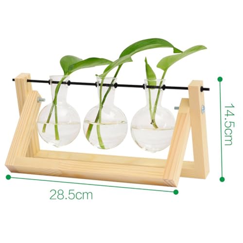 Plant Propagation Station, Hydroponics Glass Vase with Retro Burnt Wooden Stand, 3 Bulbs Terrarium Desktop Plant Holder for Home Office Garden Decor, Unique Gardening Presents for Women Garden Lovers - color: Beige