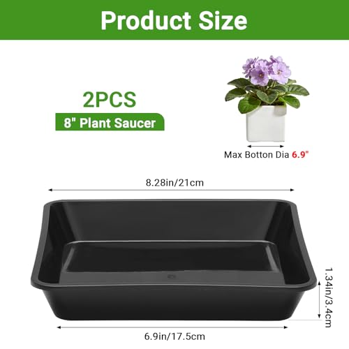 GREANER 8 Inch Pebble Tray for Plants, Black Plastic Trays for Plants-Fits 5-6 Inch Pot Bottom, Durable Thick Square Saucer for Flower Pot(2 Packs) - color: Black, size: 8 Inch