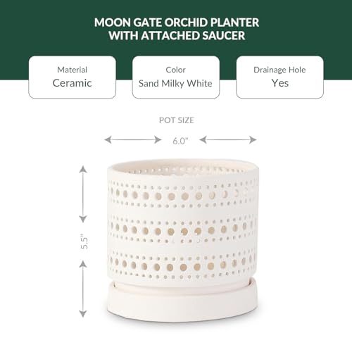 LE Beau Ceramic Moon Gate Orchid Planter with Attached Saucer - Sand (Sand Milky White, 6.0" D x 5.5" H (Single Pot)) - color: Sand Milky White, size: 6.0" D x 5.5" H (Single Pot)