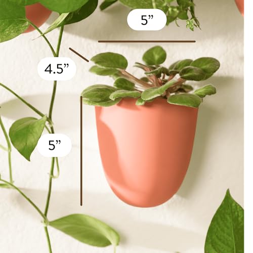 Make Good PlantPod Luxe - Self-Watering Wall Planters (Set of 6, Terracotta) - Easy to Water and Install - Lightweight - Design Your Own Vertical Garden - Wall Planters for Indoor Plants - color: Terracotta