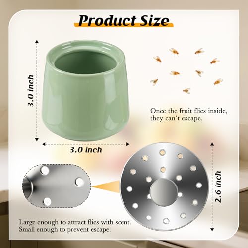 Ceramic Fruit Fly Trap for Indoors, Green, 1 Pack - color: Green