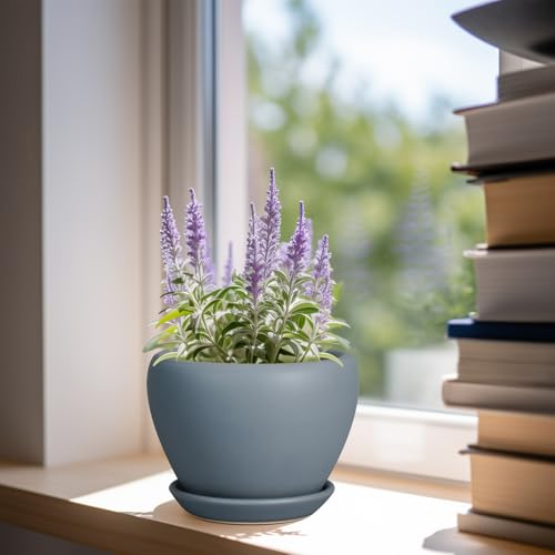 Ceramicfor Ceramic Pot for Plants - 6 Inch Plant Pot Indoor with Drainage Hole and Saucer Decorative Planter for Outdoor Plants Modern Succulent Pots Round Flower Pots Gray - color: Matte Gray, size: 6 Inch