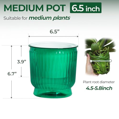 T4U Self Watering Pots for Indoor Plants 6 Inch 4 Pack Planter Green - color: Translucent Green, size: 6 Inch