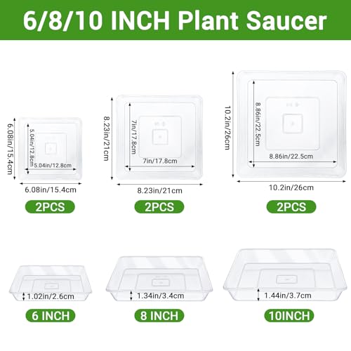 Greaner 6 Packs Square Clear Plant Saucer 6 8 10 Inch, Plastic Flower Plant Pot Saucer, Plant Watering Tray for Planter Pots, Flower Plant Drip Trays for Indoor & Outdoor Plants - color: Clear, size: 6"/8"/10"