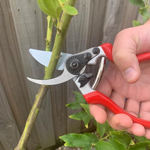 Spear & Jackson 6959BS Razorsharp Professional Ergonomic Handle Bypass Pruner - size: Ergonomic Bypass, style: Ergonomic Bypass