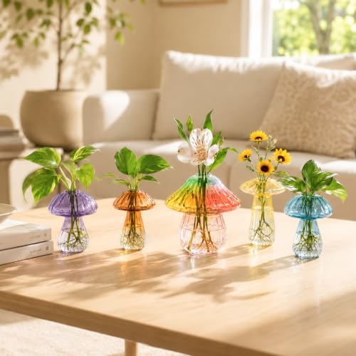 5Pcs Mushroom Propagation, Borosilicate Glass Vases, 6kg Suction Cups - color: Blue,yellow,purple,coffee,rainbow