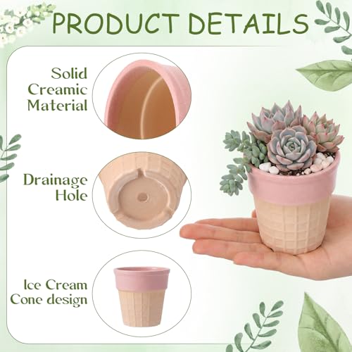 6 Pcs Mini Plant Pots Ice Cream Cone Design 2.8 Inch Planter - style: Ice Cream Cone Style