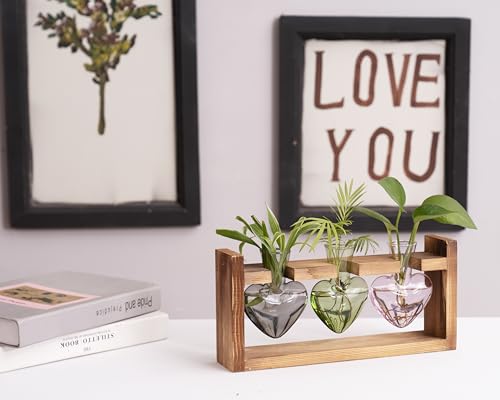 Kingbuy 3-Heart Plant Terrarium Kit - Stained Glass Vase Propagation Station with Vintage Wood Stand - Wall-Mounted & Tabletop Indoor Garden Decor for Home Kitchen Wedding (Grey, Green, Pink) - color: Mix - A