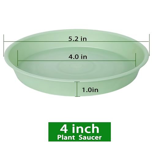 6 Pack Plastic Plant Saucer Water Drip Tray, 4 5 6 7 8 9 10 11 12 13 15 17 19 inch, Heavy Sturdy Plant Drainage Tray for Indoors Outdoor, Saucers for Pots Base (4", Light Green) - color: Light Green, size: 4"