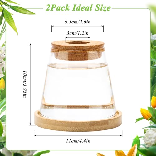 2 Pcs Plants Propagation Station, Desktop Glass Planter Station