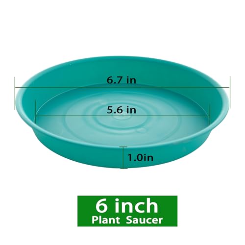 6 Pack of 6 inch Plant Saucer Drainage Tray, 4 5 7 8 10 12 13 15 17 19 inch Plastic Plant Water Tray, Flower Saucers for Indoors, Plant Dishes for Pots Base (6 inch, Teal) - color: Teal, size: 6"