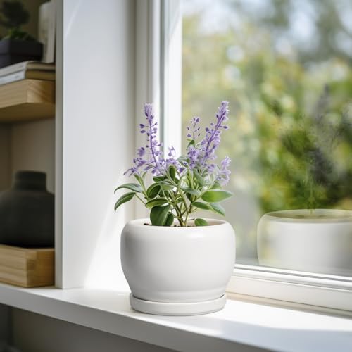 SQOWL Ceramic Flower Pots - 6 Inch Plant Pot Indoor Outdoor, Ceramic Planter with Drainage Hole and Saucer, Modern Round Succulent Planter, Bookshelf Decor, House Warming Gifts New Home, White - color: Glossy White, size: 6 Inch