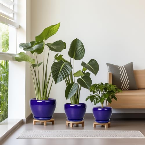 Flower Pots for Indoor Plants- Ceramic Pots for Plants 10 Inch 8 Inch 6 Inch Plant Pots with Drainage Holes and Saucers Decorative Large Planters for Outdoor Plants Set of 3 Blue - color: Royal Blue