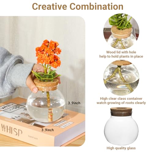 Plant Propagation Station,Hydroponic Terrarium Vase,Desktop Glass Planter Station,for Houses,Garden Decorations,ropagating Hydroponic Plants,Centerpiece Office,Home Garden Decor (2)