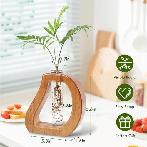 Glass Test Tube Plant Propagation Terrarium Station - size: 5.3*5.6IN