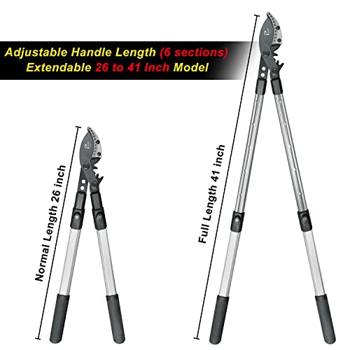 26-41 Inch Extendable Anvil Loppers, Sync Drive Leverage Tree Trimmers, Telescopic Pruners Heavy Duty, 2 Inch Cutting Capacity