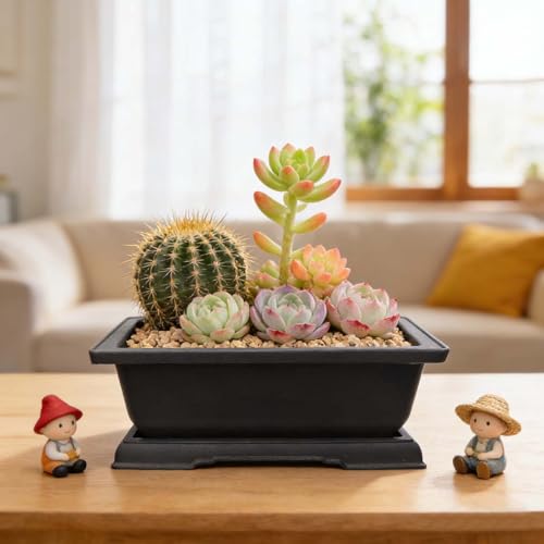 MUZHI 6Pack Plastic Bonsai Pot with Drainage Drip Tray, Retro Style Rectangle Garden Plant Pots Bonsai Planters Nursery Pots Maceta Cuadrada with Tray (2pcs 9"+2pcs 7.5"+2pcs 6.5") - size: 2pcs 9"+2pcs 7.5"+2pcs 6.5"