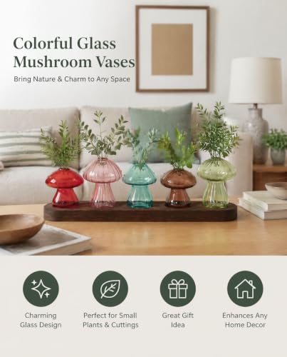 Mushroom Glass Vase Set of 5, Colored Propagation Station, Mushroom Planter