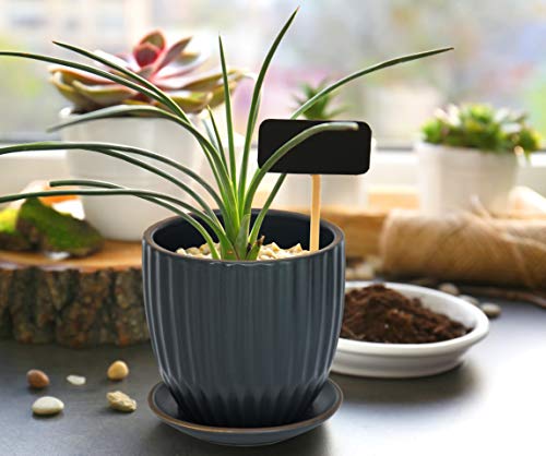 D'vine Dev 2-Pack Stoneware Planter Pots, 4.5/5.8 in, Charcoal Grey, 99-D-3 - color: Gray