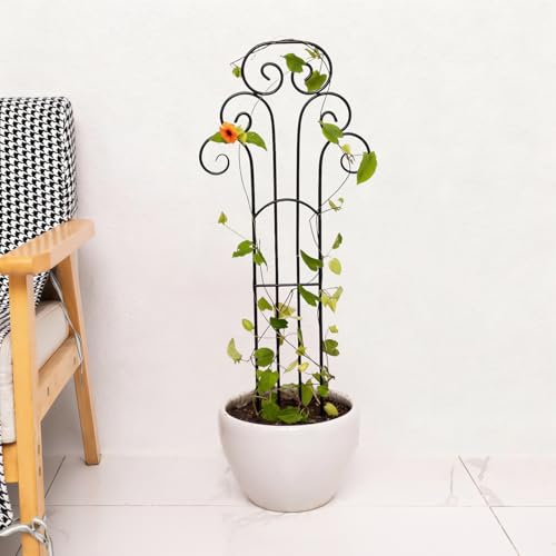 31 Inch Trellis for Potted Plants - Iron Support for Climbing Vines - size: 31"H