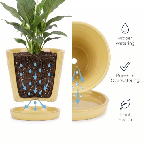 EFISPSS Ceramic Plant Pots, 5 Inch Planters with Drainage Holes and Ceramic Tray, Relief Design Flower Planter, Desktop Office Windowsill Decoration Gift Set of 4 - Lemon Yellow - color: Lemon Yellow