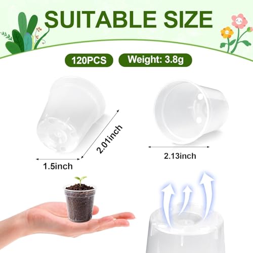 120 Pcs 2 Inch Clear Nurery Pots, Seedling Pots with Drainage Holes - color: Clear