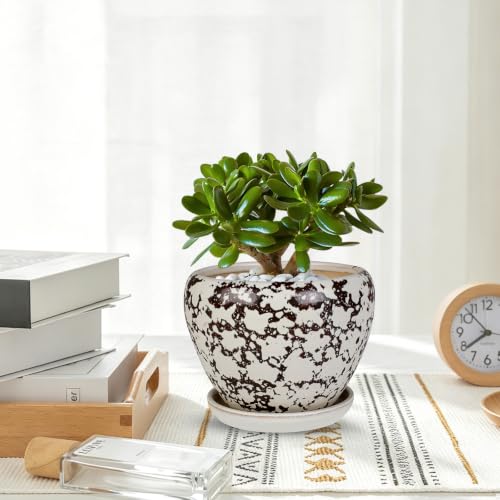 Ceramic Plant Pots With Saucer & Drainage, 6 inch Indoor Flower Pots - color: White, size: 6 inch