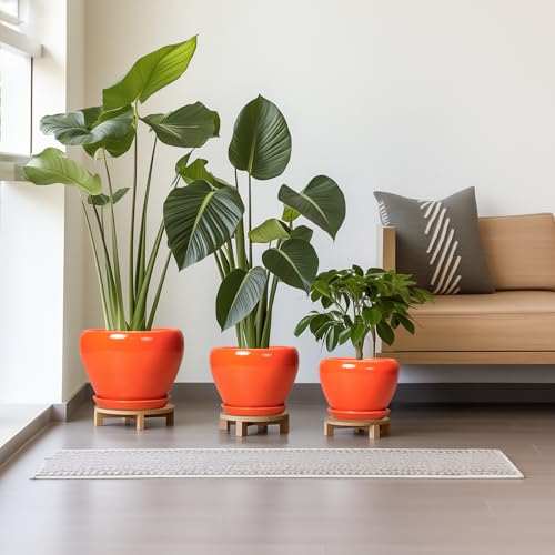 Ceramic Planter - 10 Inch 8 Inch 6 Inch Plant Pot with Drainage Holes and Saucers, Round Planters for Indoor Outdoor, Modern Flower Pots, House Garden Room Decor, Gardening Gifts, Orange - color: Orange
