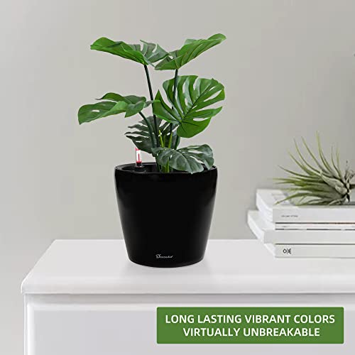 Dexceder 11x10 Self Watering Planter (Black High Gloss) - color: Black, size: 11x10