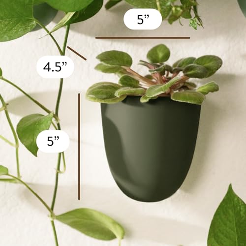 Make Good PlantPod Luxe - Self-Watering Wall Planters (Set of 6, Forest Green) - Easy to Water and Install - Lightweight - Design Your Own Vertical Garden - Wall Planters for Indoor Plants - color: Forest Green