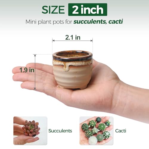 T4U Mini Ceramic Succulent Pots, Small Gift Planters, Retro Decor Set of 12 - color: Flowing Glazed, size: Pack of 12